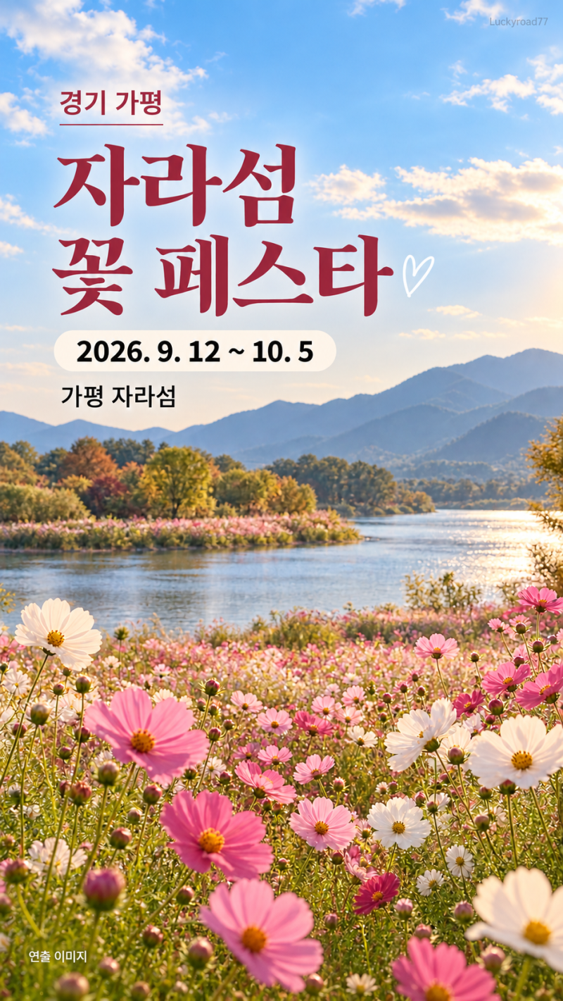 2026 전국 가을 꽃축제 일정｜9월·10월 코스모스부터 구절초·국화까지