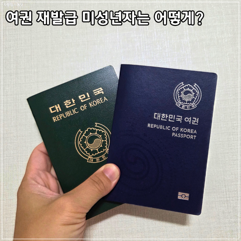 2026 온라인 여권 재발급 여권갱신 신청 방법｜미성년자·비용·사진 규정 총정리