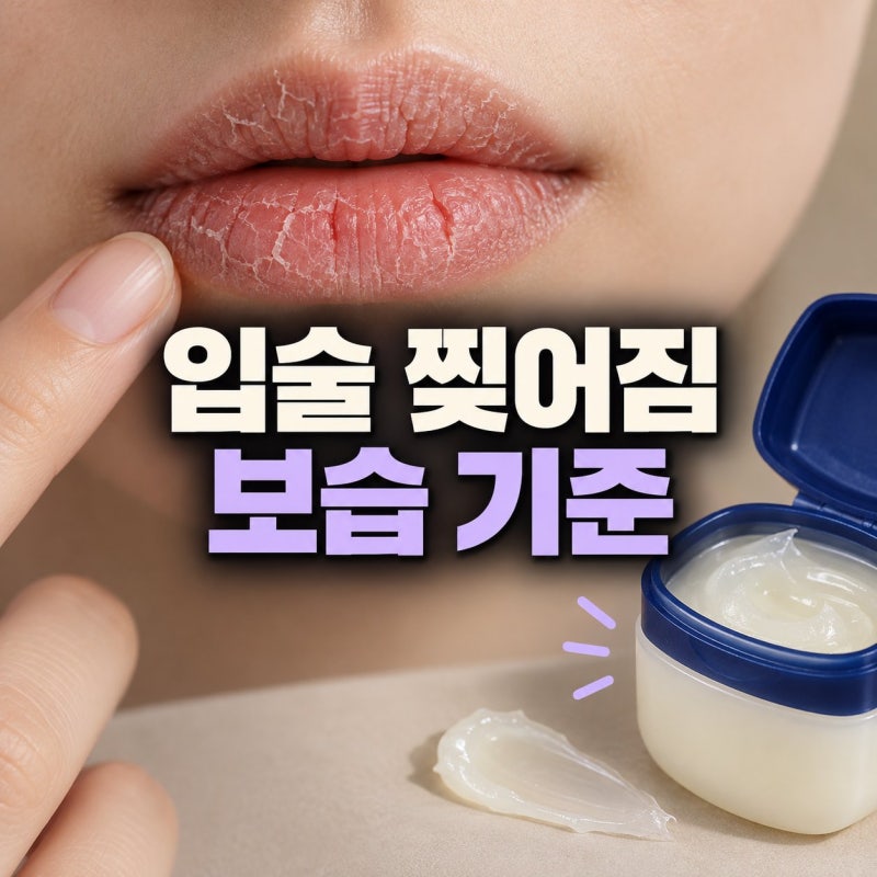 입술 찢어짐 원인부터 보습과 연고 선택까지