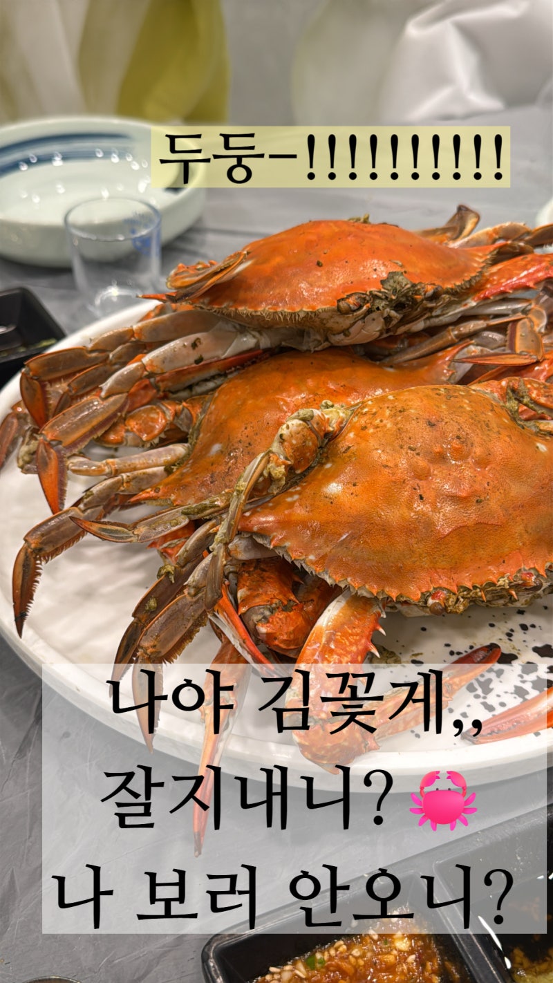 대전 구암역 맛집 보물섬수산 꽃게찜 대게 무한리필 후기ㅣ주차 룸 단체회식