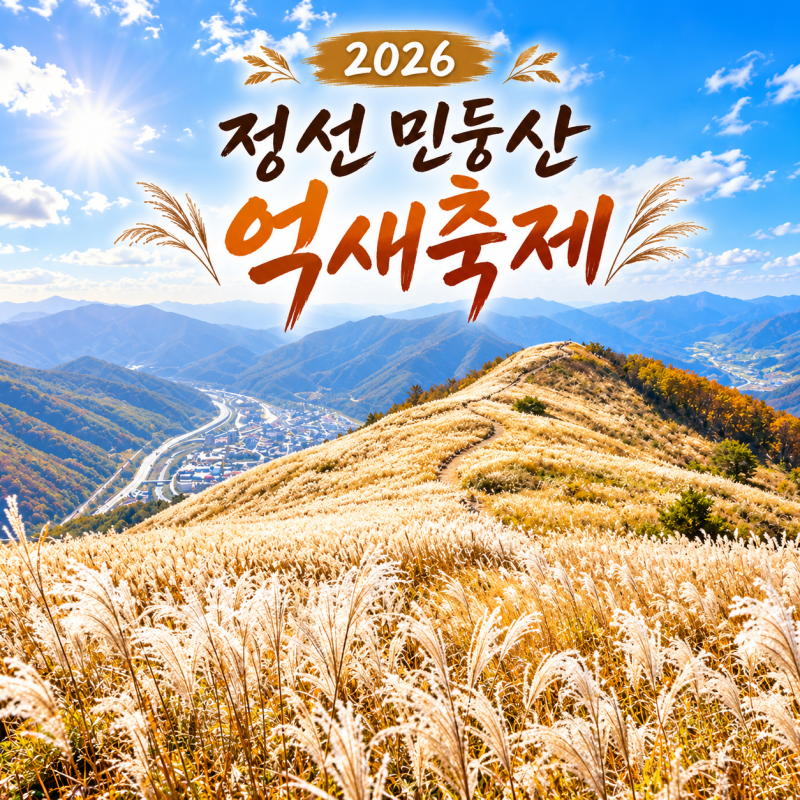 2026 정선 민둥산 억새축제 일정·절정 시기·등산 코스 총정리