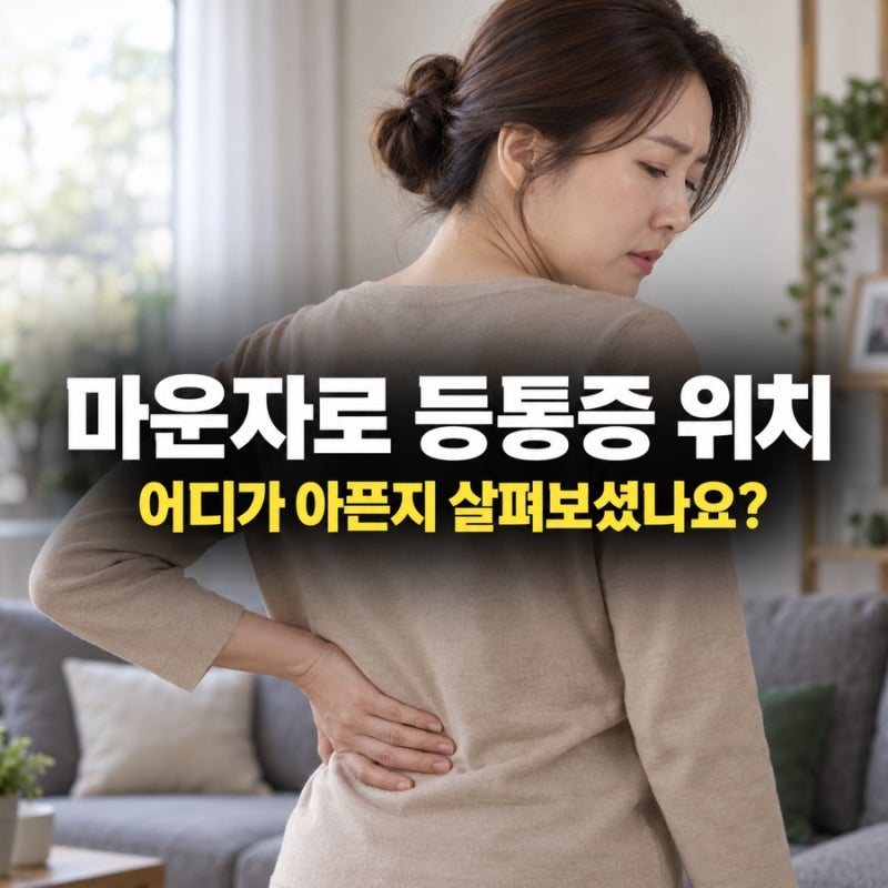 마운자로 등통증 위치, 명치 뒤·오른쪽 등이 아플 때 확인할 증상