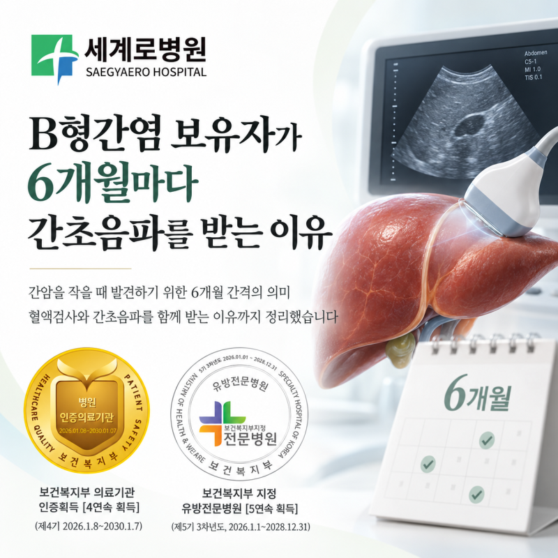 B형간염 보유자가 6개월마다 간초음파를 받는 이유