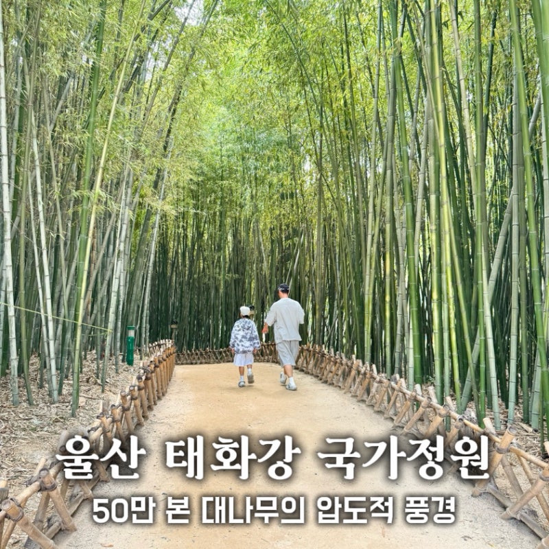蔚山太和江国家庭園 観覧車 十里大林 天の川道