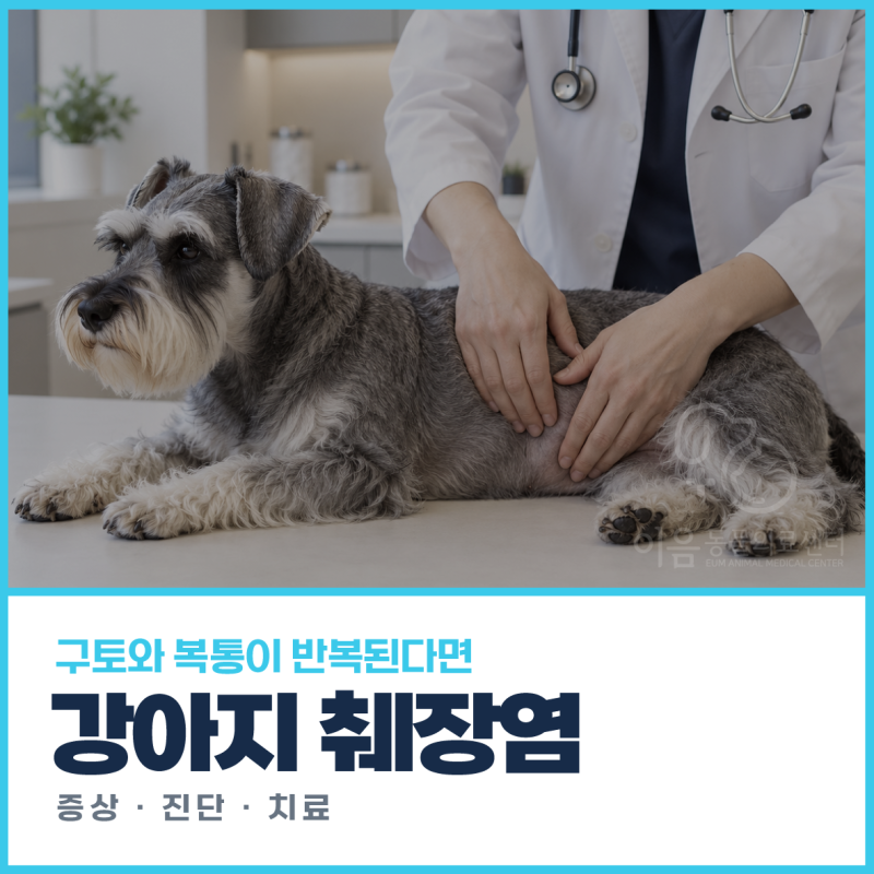 강아지췌장염 | 구토·복통이 반복된다면? 원인·증상·진단·치료 [24시이음동물의료센터]