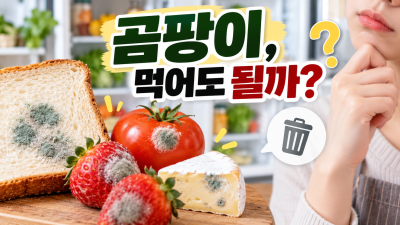 곰팡이 생긴 음식, 어디까지 버려야 할까? 걷어내고 먹어도 되는 음식
