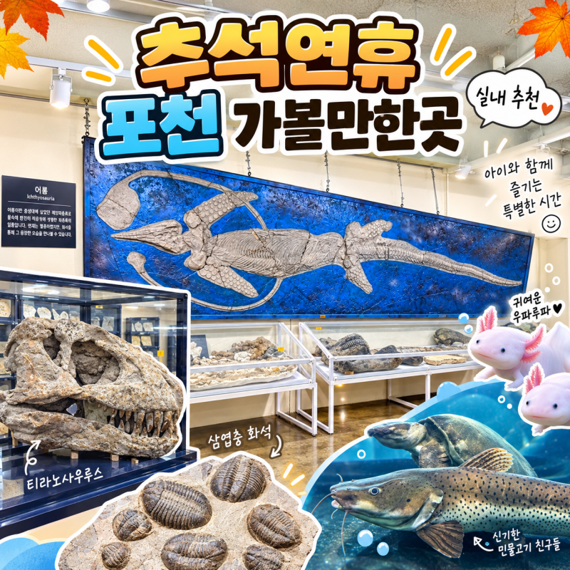 추석연휴 포천 실내 아이와 가볼만한곳 애견동반 가능 예술정원 1999