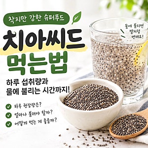 치아씨드 먹는법, 하루 섭취량과 물에 불리는 시간 올바르게 알기