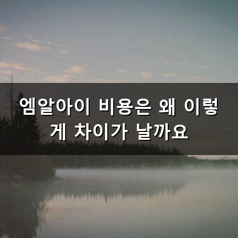 MRI 검사 비용은 왜 병원마다 천차만별일까? 부위별 가격과 건강보험 기준