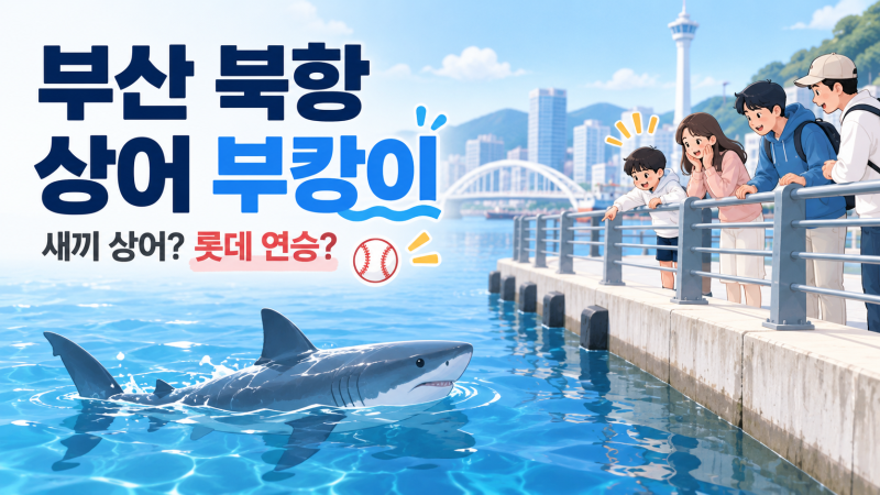 부산 북항 상어 ‘부캉이’, 새끼 상어도 나타났나? 롯데 연승까지 화제