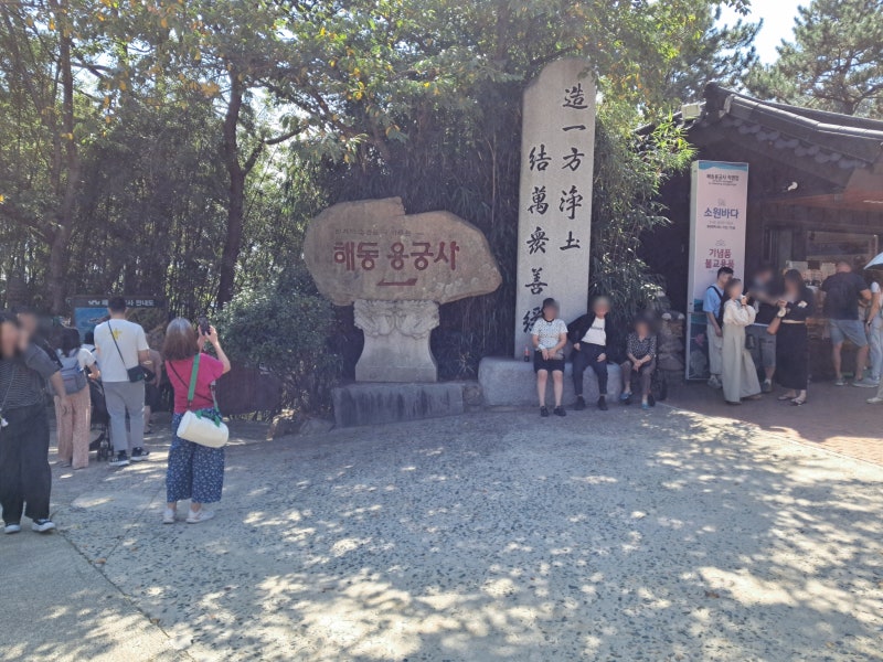 Mercedes Sprinter Limousine Busan Tour | Private Trip to Haedong Yonggungsa Embracing the Sea