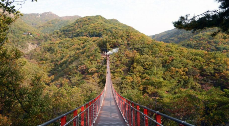 파주 가을 여행 추천 | 2026 마장호수·감악산 단풍맞이 버스킹 일정 & 주차·입장료 꿀팁 총정....