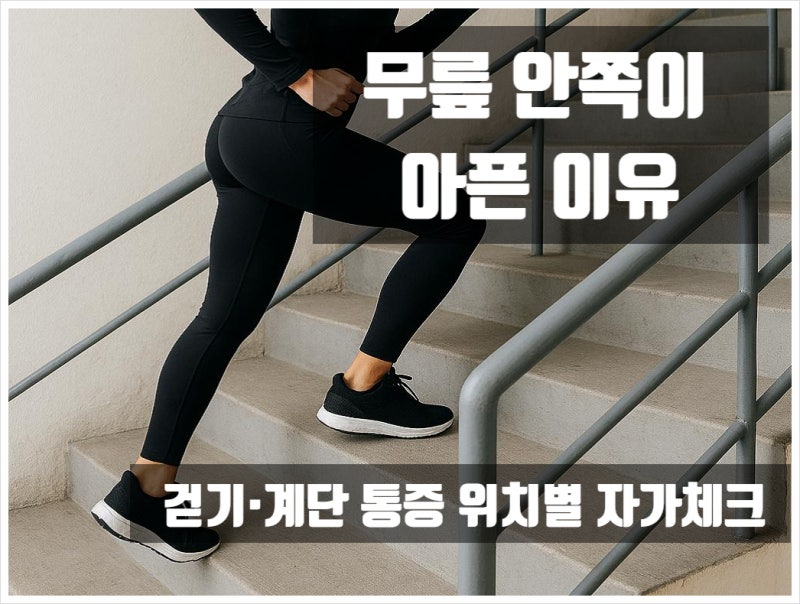 계단에서 아픈 무릎 안쪽｜통증 원인과 기초 재활운동 4가지