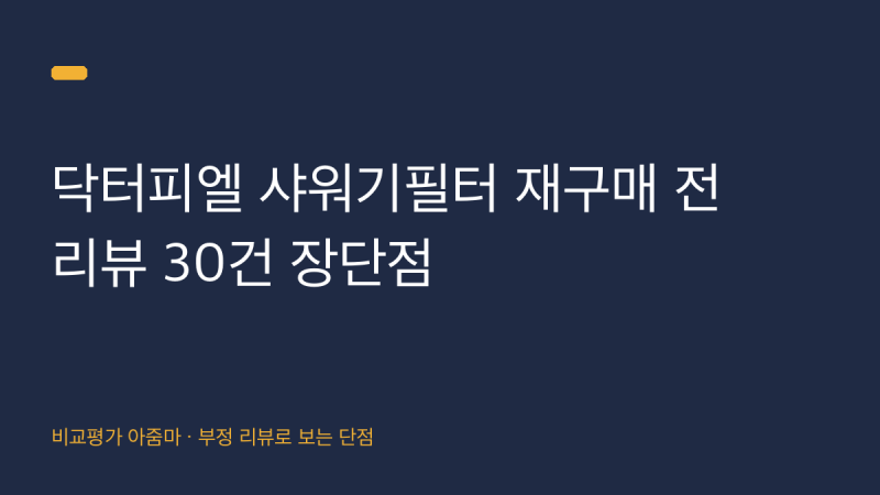 닥터피엘 샤워기필터 재구매 전 리뷰 30건 장단점