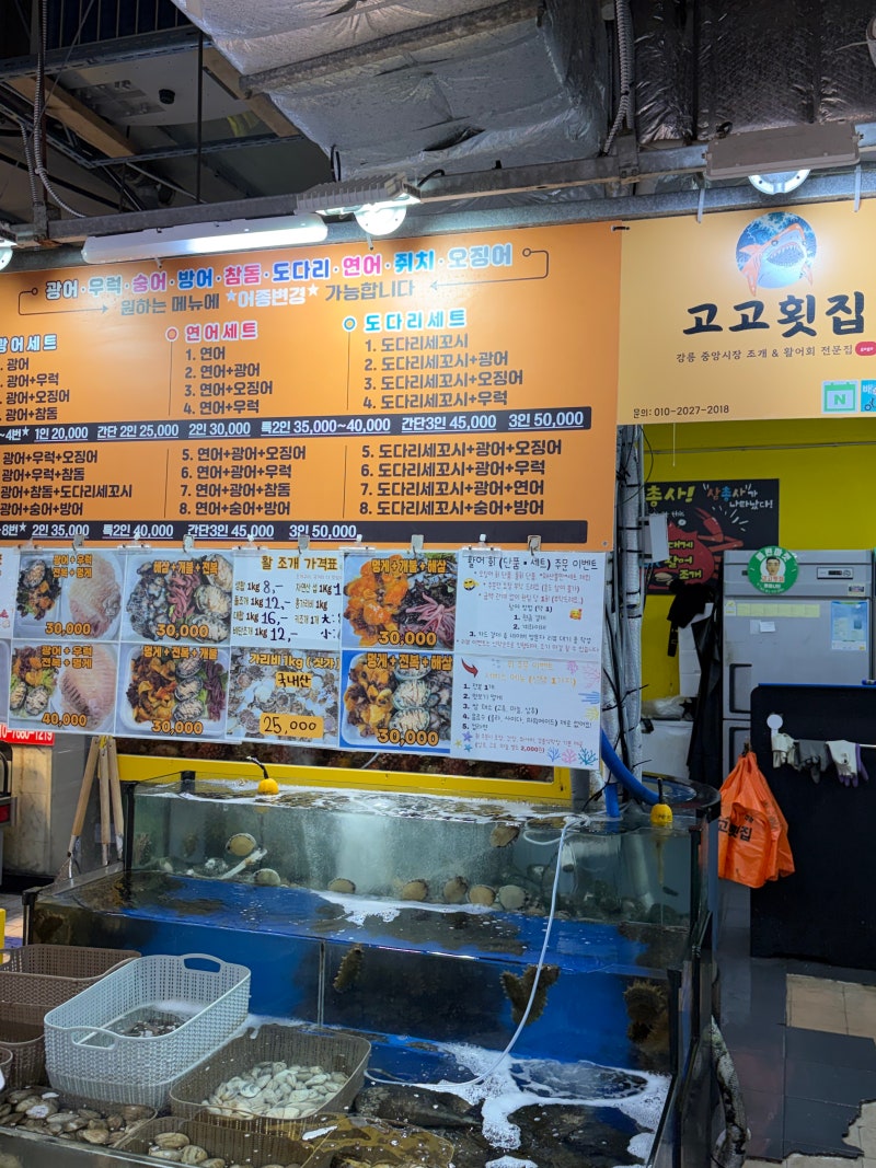 고고횟집에서 강릉 중앙시장 회포장하고 숙소에서 제대로 즐긴 참돔세트