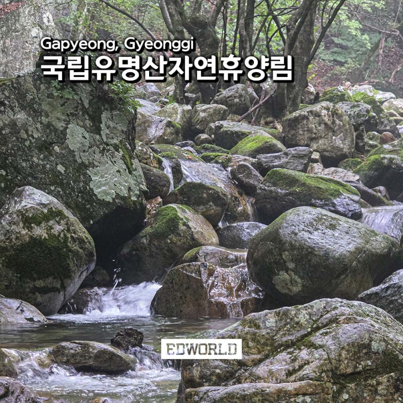 가평 국립유명산자연휴양림 2휴양관 1박2일 유명산계곡