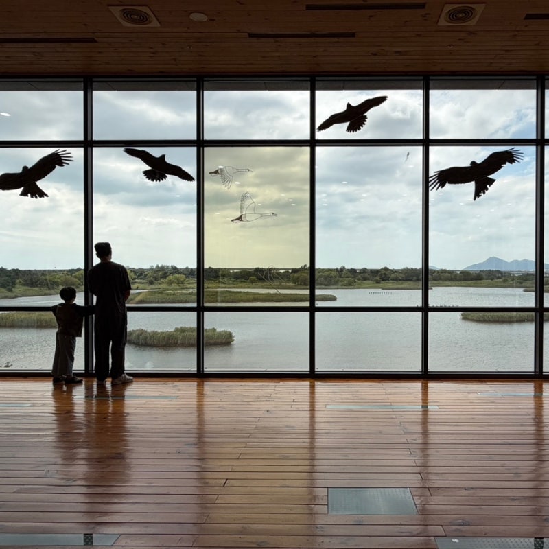 Busan Places to Visit with Kids / Eulsukdo Ecological Park, Nakdong Estuary Eco Center, Eulsukdo Deullaknalak for Children