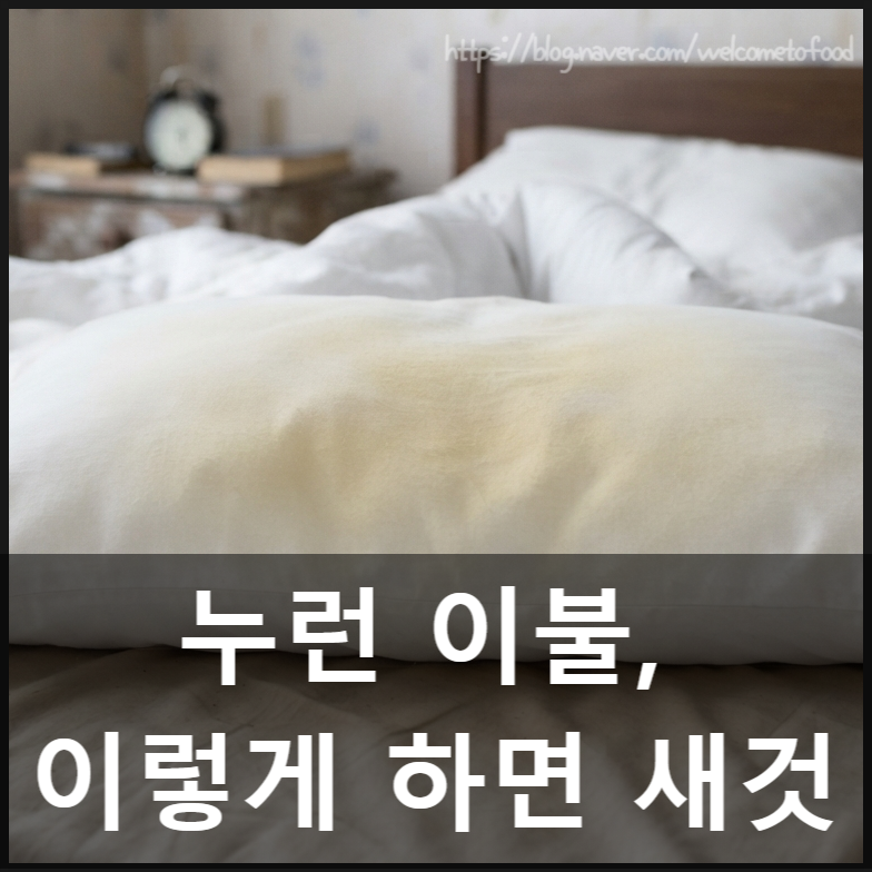 누런 이불 하얗게 하는 방법, 베개 땀 얼룩 제거까지