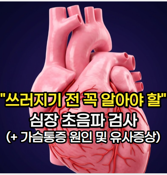 심장 초음파 미루다 "쓰러지기 전 꼭 알아야 할" 가슴 통증 원인 및 유사 증상