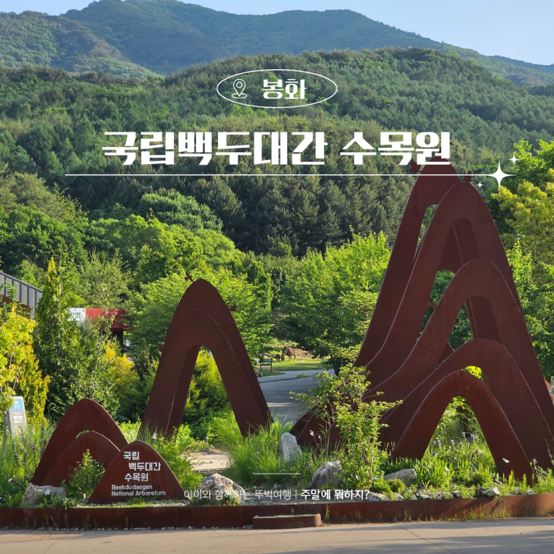 국립백두대간수목원 아이와 호랑이숲 트램 관람시간 후기