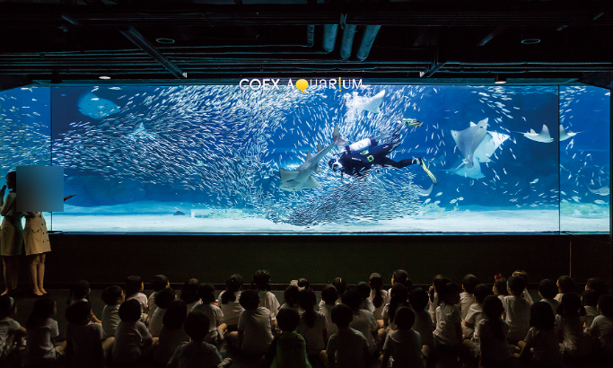 코엑스 아쿠아리움 할인코드 통신사 티켓 예약팁