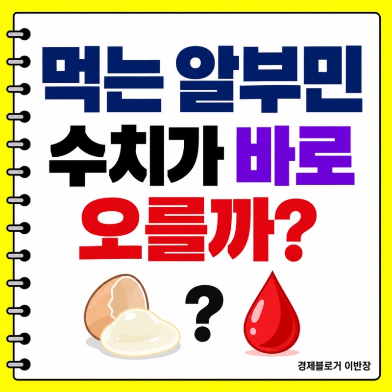 알부민 영양제 효능, 낮은 수치에 바로 먹으면 안 되는 이유