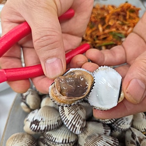 순천 아침식사 맛집 순천역 주변 점심 밥집 추석 명절 귀성길 든든한 짱뚱어탕 꼬막정식