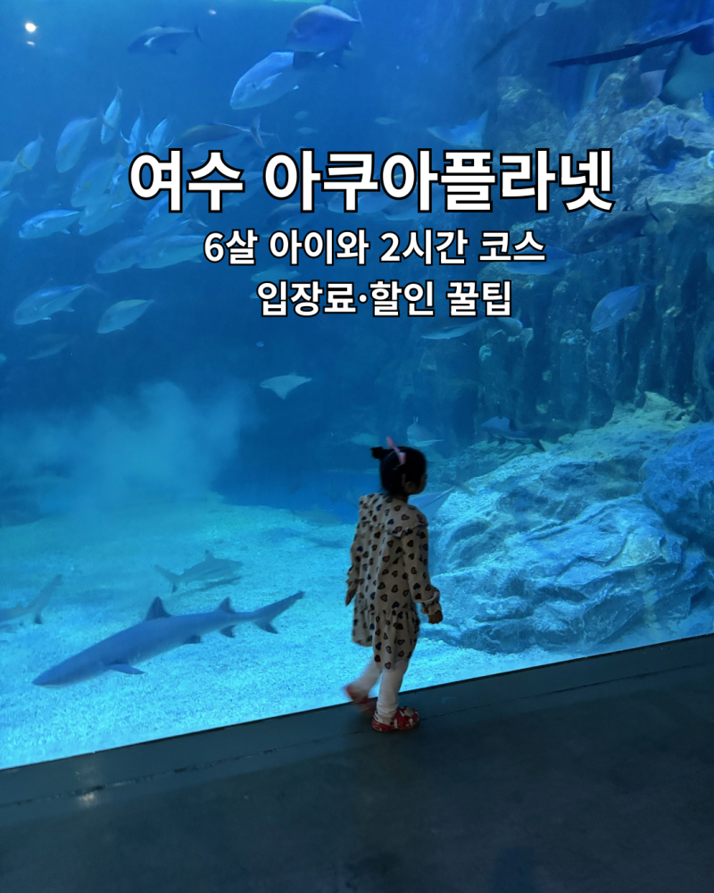 [여수 아이랑 가볼만한곳] 아쿠아플라넷 여수 6살 아이와 2시간 관람 후기