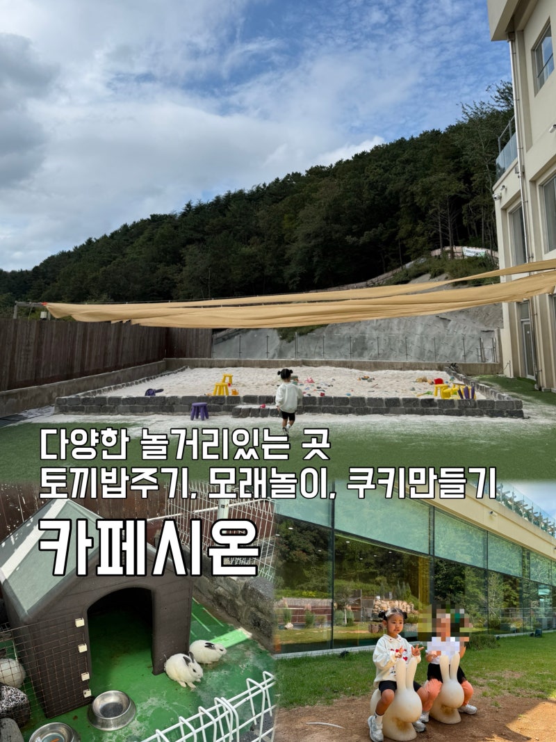 부산 입장료없이 아이랑 놀거리 가득한 카페시온에서 모래놀이 쿠키만들기 토끼밥주기 비눗....