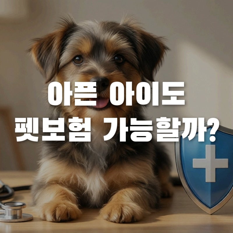 유병력자 펫보험 가입 전 필수 체크! 슬개골·피부병 있어도 가능할까?