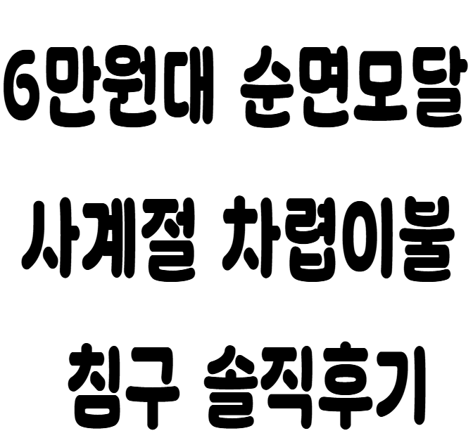 사계절 순면 알러지케어 이불 패드 세트 추천 사용후기