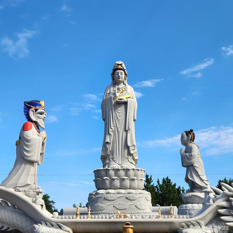 양양 가볼만한곳 바다 전망 휴휴암 물고기 방생