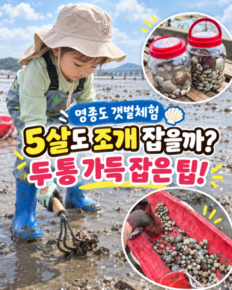 5살 아이랑 갯벌체험 준비물·물때표, 영종도 마시안에서 조개잡기 후기