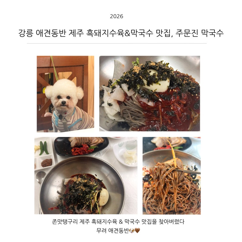 강릉 애견동반 맛집 주문진막국수｜막국수에 제주 흑돼지 수육까지 대만족