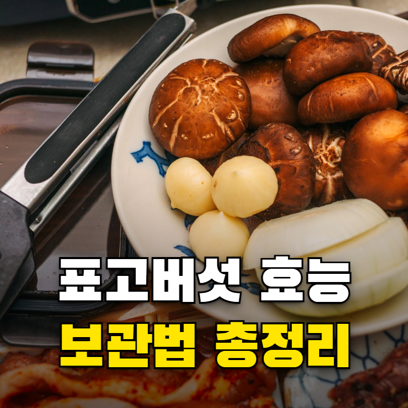 표고버섯 효능 영양성분과 비타민D·베타글루칸까지