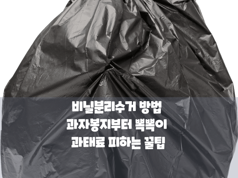 비닐분리수거 방법 과자봉지부터 뽁뽁이 과태료 피하는 꿀팁까지