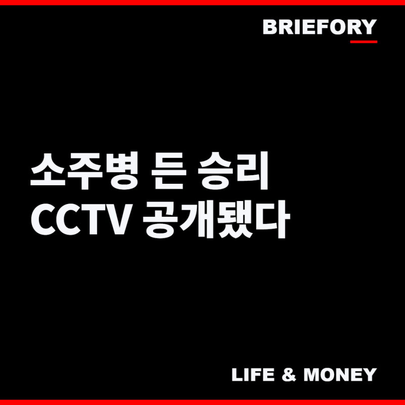 "'소주병 들고 여러 차례 휘둘러' 승리 특수폭행 혐의 피소, CCTV에는 무슨 장면 담겼나"
