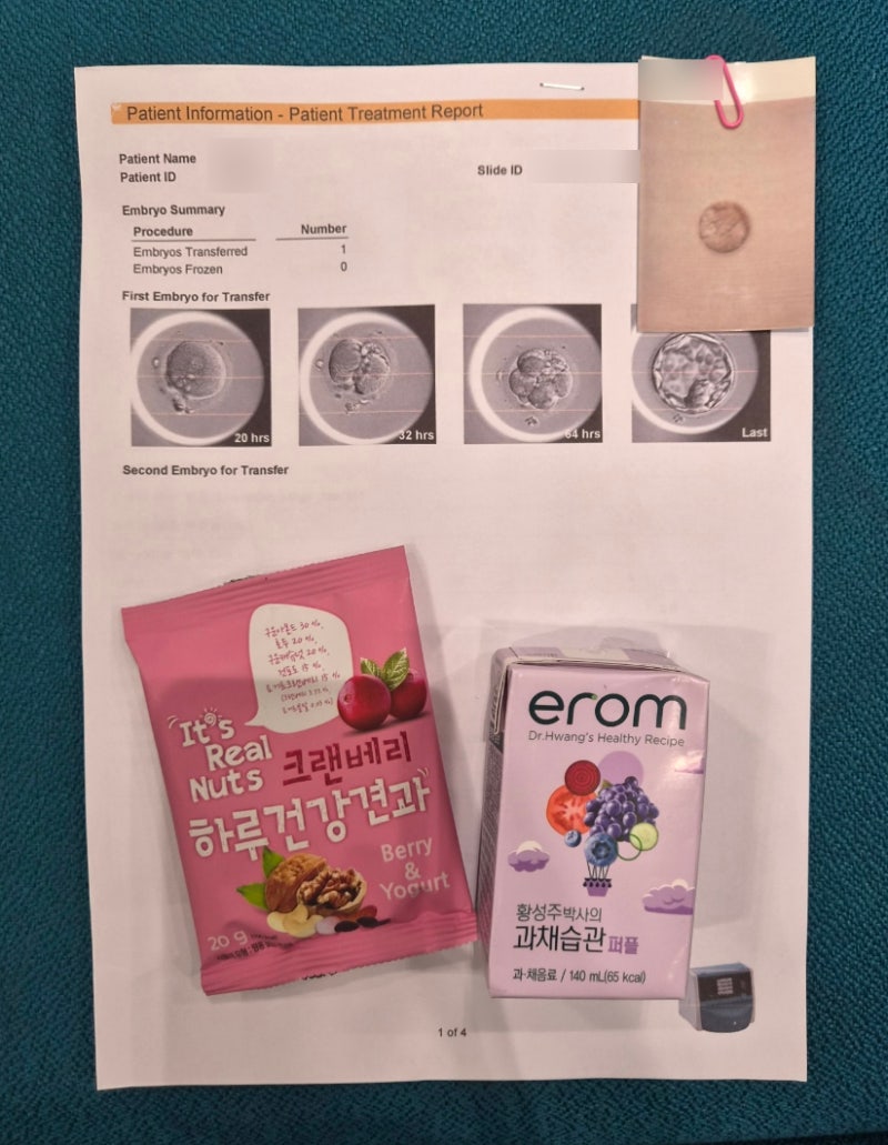 시험관 1차 타임라인 총정리｜과배란 주사부터 난자채취·동결배아이식까지