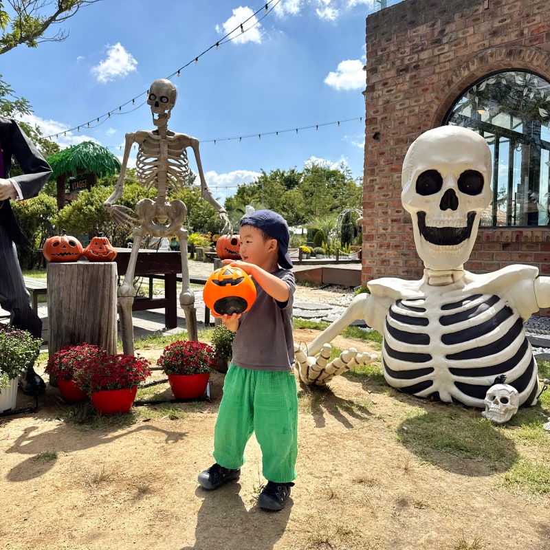 Back Again! Viajo Cafe, a Great Spot for Kids in Busan (+Sand Playground)