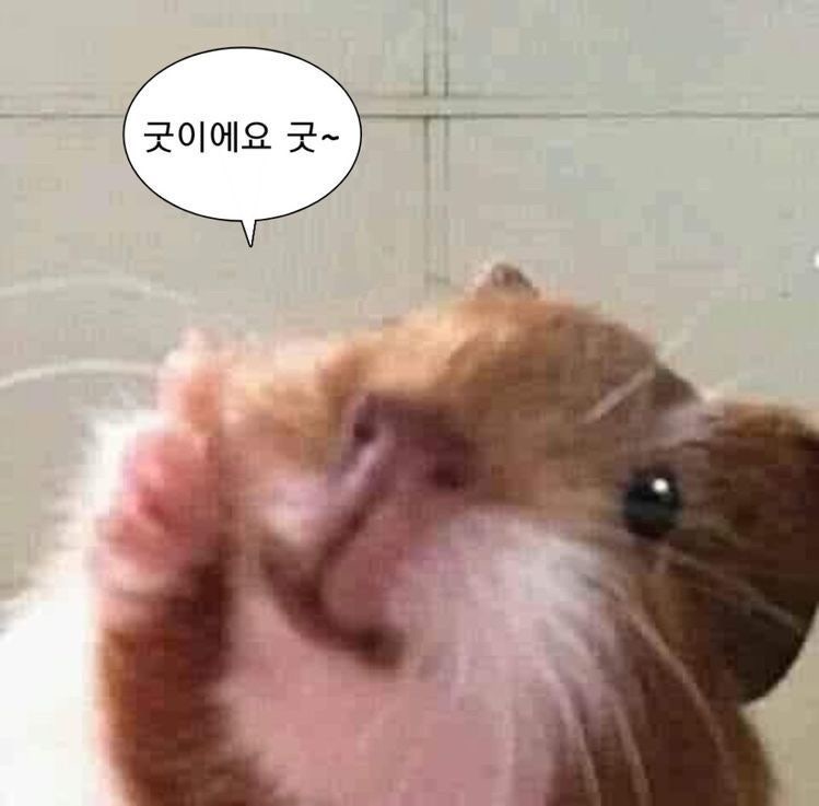추석선물 코지마 테일러안마의자 추천 / 안마의자 후기