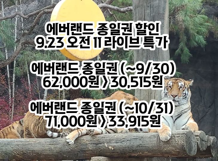 에버랜드 종일권 할인 라이브 알림받기 (9월23일 오전 11시 에버랜드 라이브)