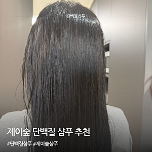 손상모 샴푸 추천 제이숲 실크케라틴 단백질샴푸 사용후기