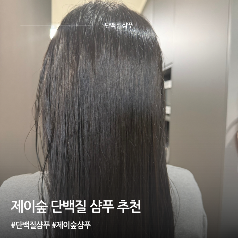 손상모 샴푸 추천 제이숲 실크케라틴 단백질샴푸 사용후기