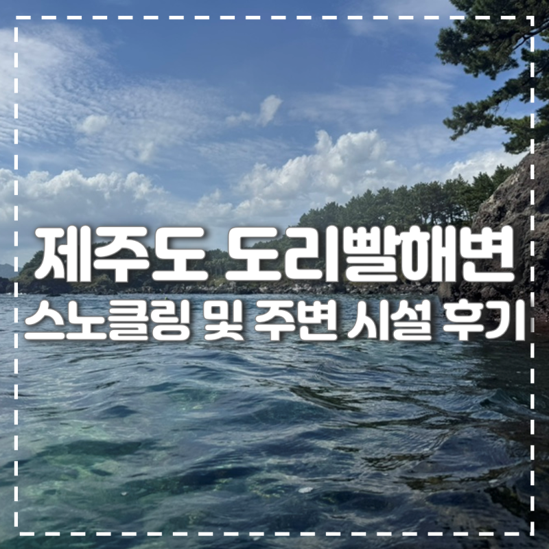제주도 스노클링의 성지 도리빨해변 방문 후기 및 물때 확인 방법