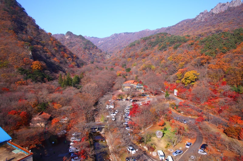 [호텔모악산] 내장산 단풍과 전주한옥마을, 자연과 하나되는 가을여행 1박 2일