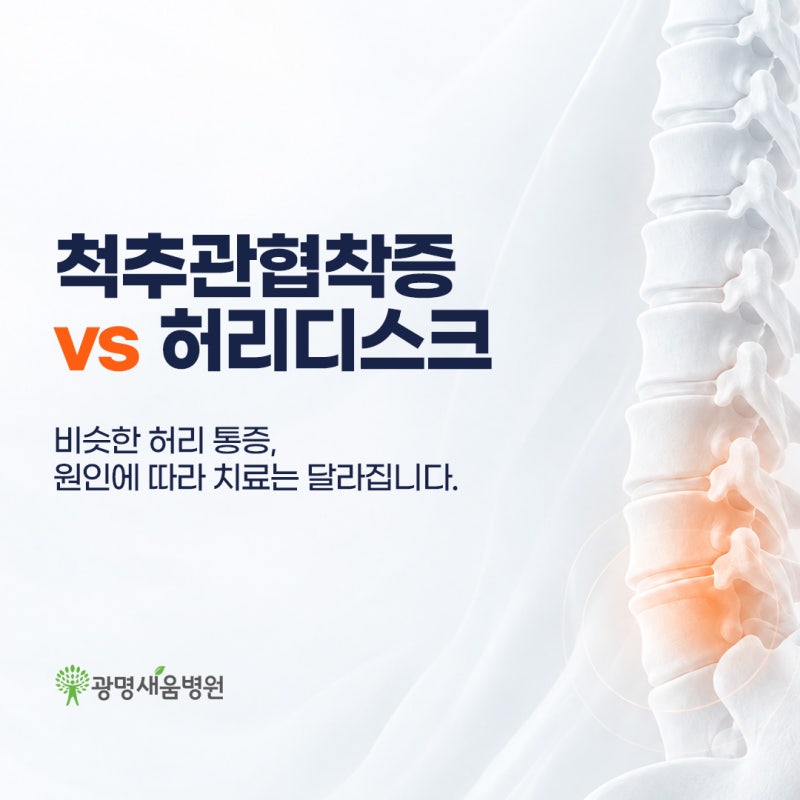 광명 허리통증 정형외과 척추관협착증과 허리디스크 차이점은 무엇일까요?