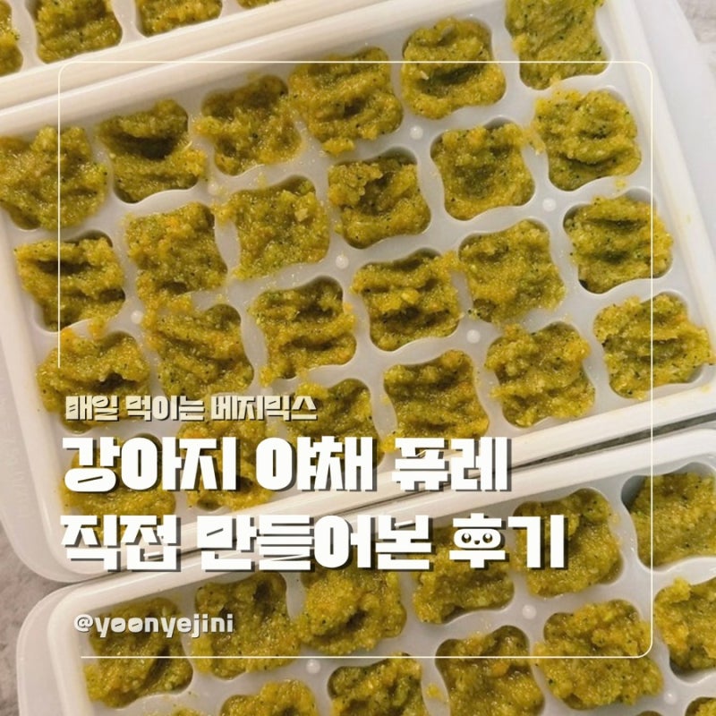 매일 먹이는 강아지 베지믹스 · 야채 퓨레 직접 만들어본 리얼 후기