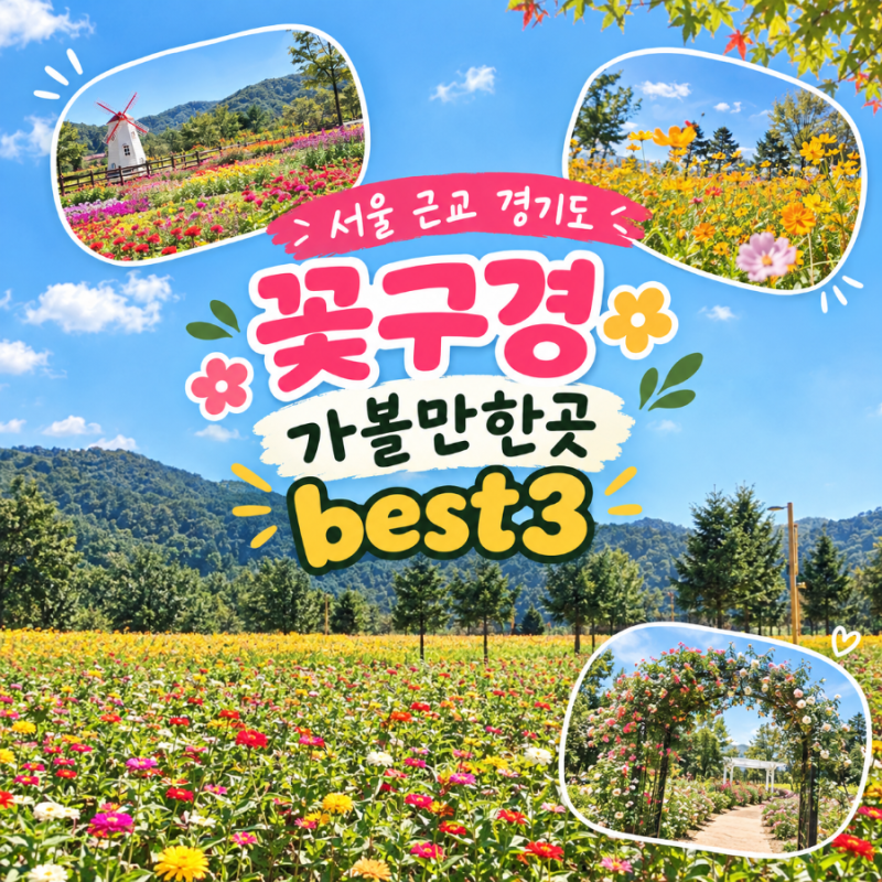 서울근교 꽃구경 경기도 아이랑 가볼만한곳 당일치기 9, 10월 꽃축제 best3