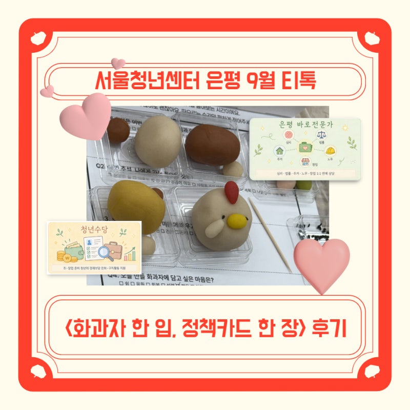 [서울청년센터 은평] 9월 티톡 활동 후기