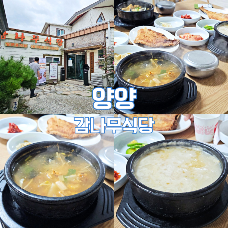 강원도 양양 먹거리 감나무식당 황태국밥 웨이팅